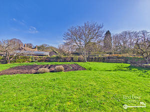 Garden- click for photo gallery